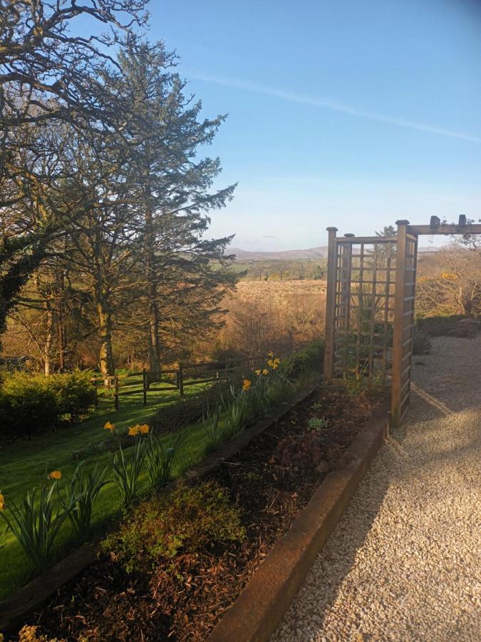 Holly Lodge Letterkenny Exterior foto